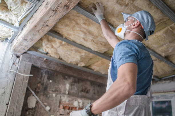 Best Eco-Friendly Insulation in Pitman, NJ