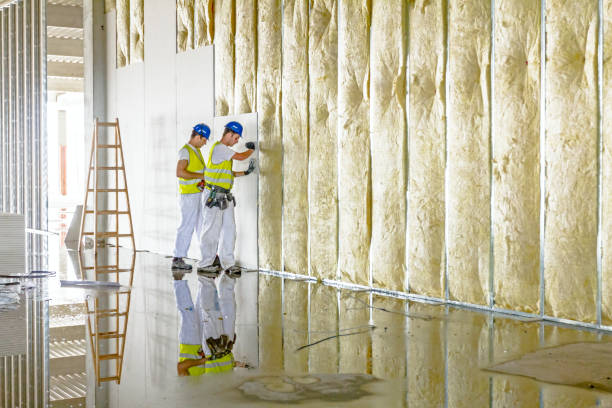 Best Specialized Insulation Services in Pitman, NJ